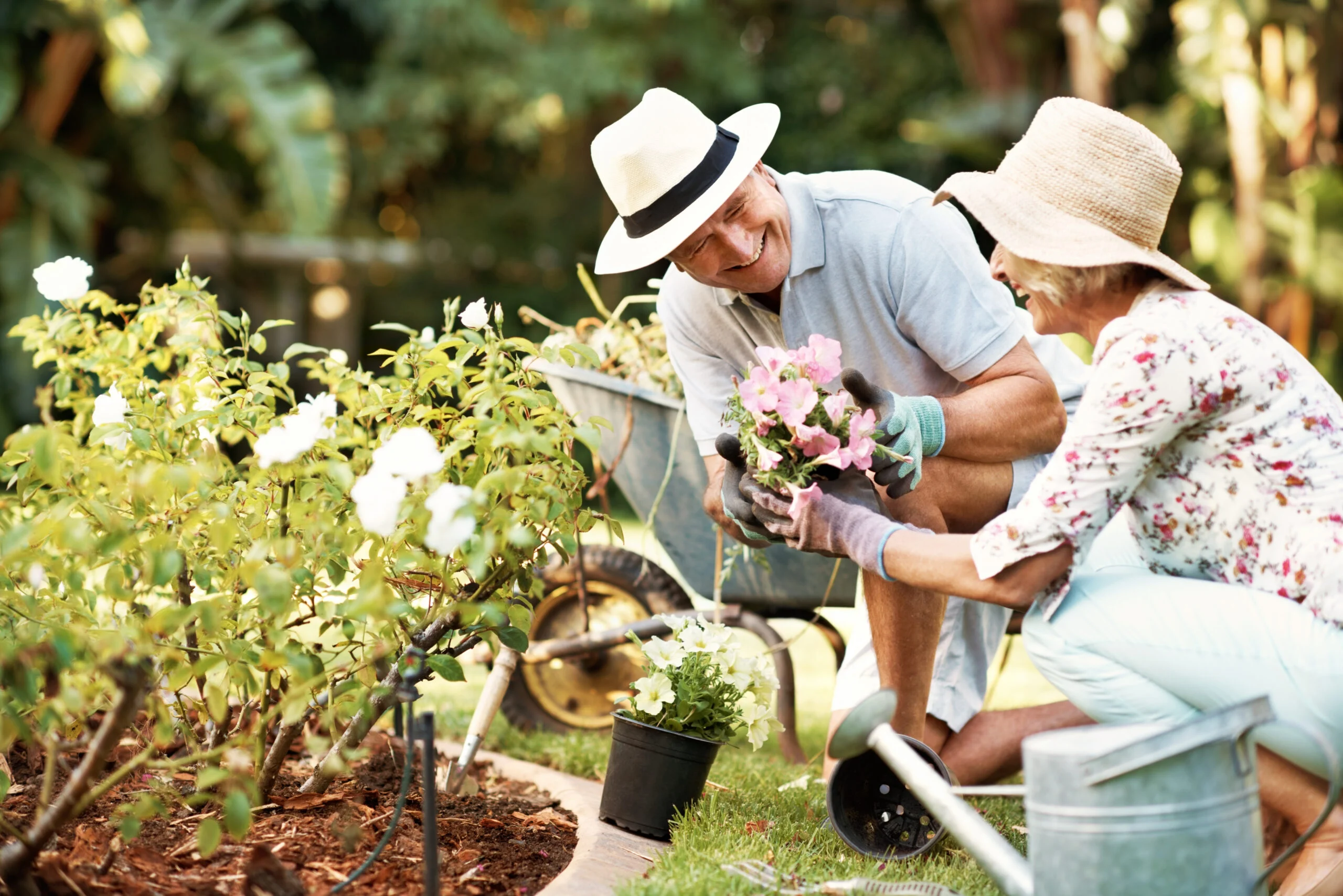 Two older adults gardening together outside, planting flowers and using gardening tools in a community garden.